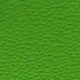 lamborghini - verde fauns