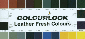Cartella colori standard Leather Fresh