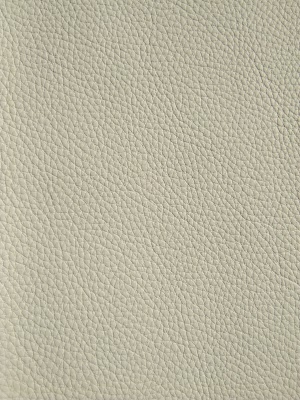 Colore divano in pelle NATUZZI - Montecarlo 25FP PROTECTA, 150ml